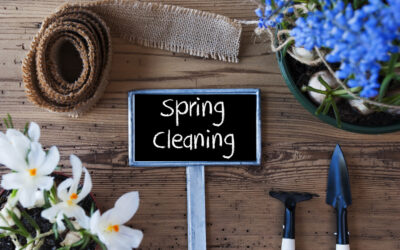 Why Spring Cleaning is Good for the Mind