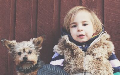 When Is The Right Time to Get a Pet for Your Child