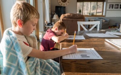 Homeschool Evaluations in Brandon and Plant City: What to Expect and How They Help
