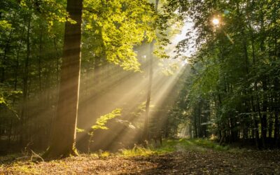 How to Know When It’s Time to Start Therapy